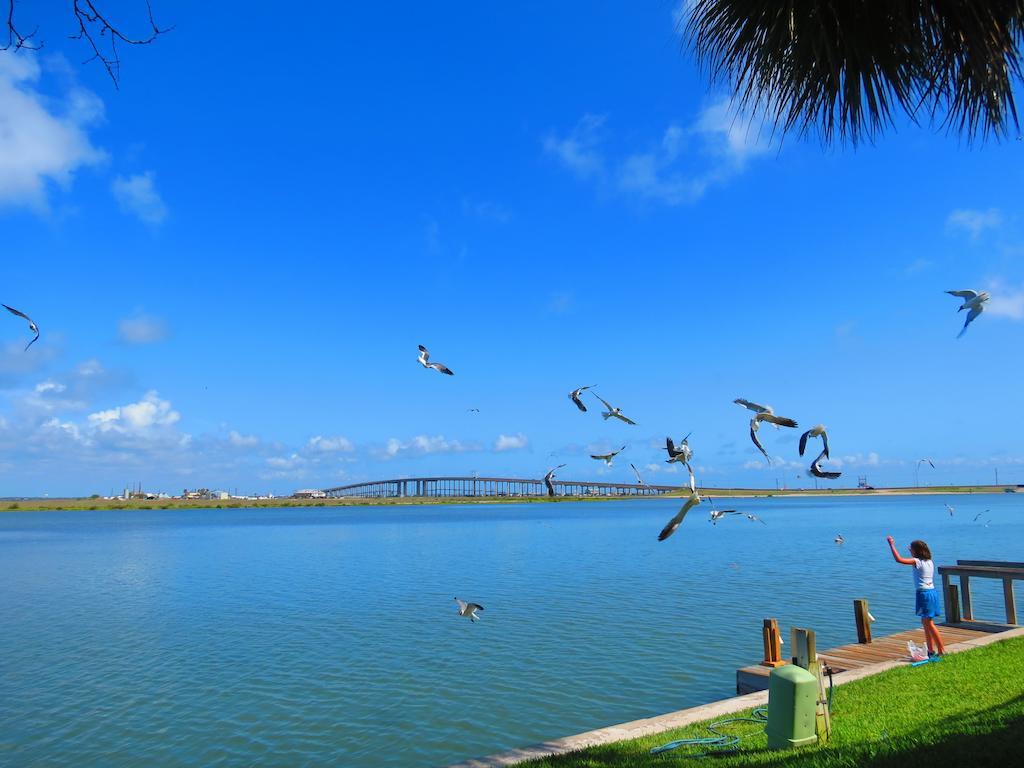 Multi Resorts At Puente Vista Corpus Christi Buitenkant foto